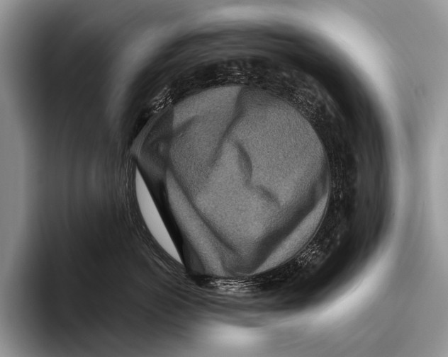 X0000095940766200802081237