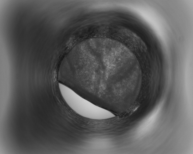 X0000095940767200802081237