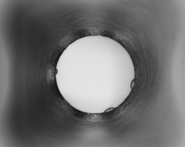 X0000095940768200802081237