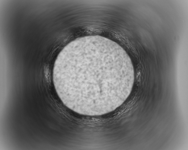 X0000095940772200802081236