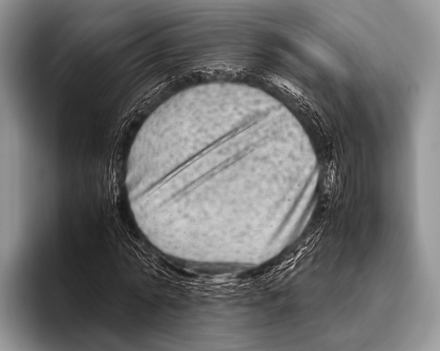 X0000095940774200802081236