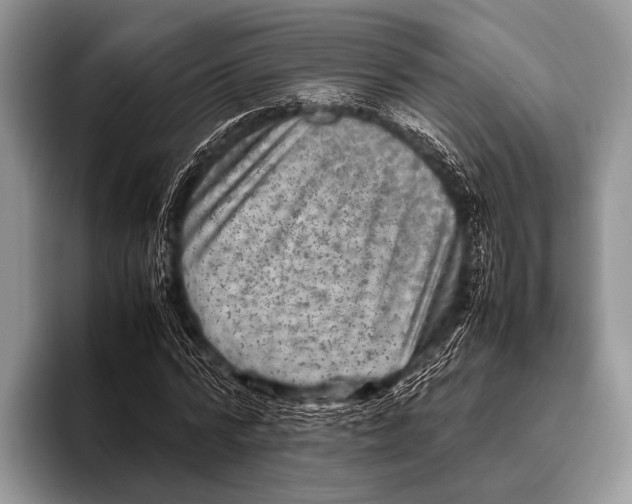 X0000095940776200802081236