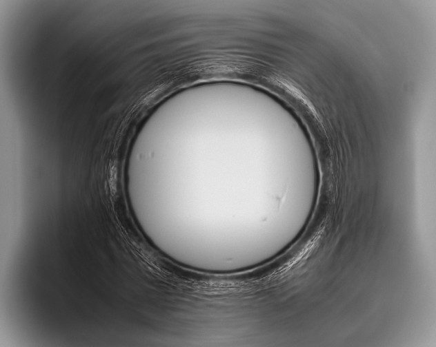 X0000095940777200802081236