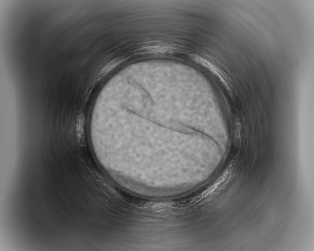 X0000095940778200802081236