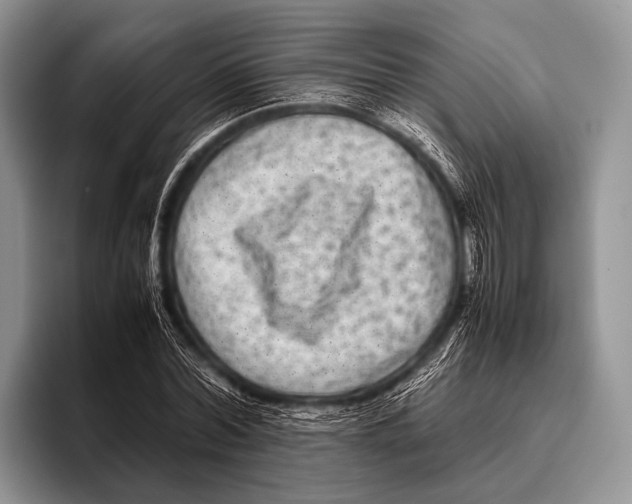 X0000095940780200802081236