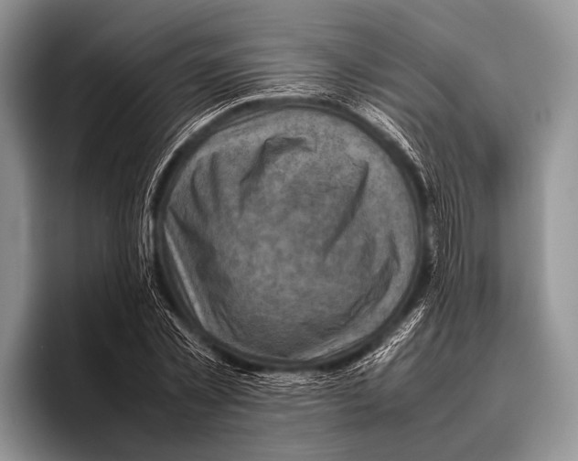 X0000095940781200802081236