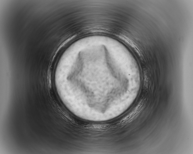 X0000095940782200802081236