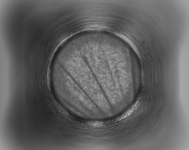 X0000095940783200802081236