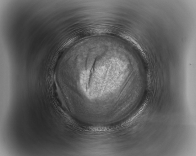 X0000095940785200802081236