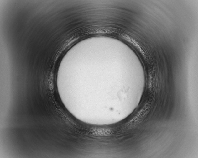 X0000095940786200802081236