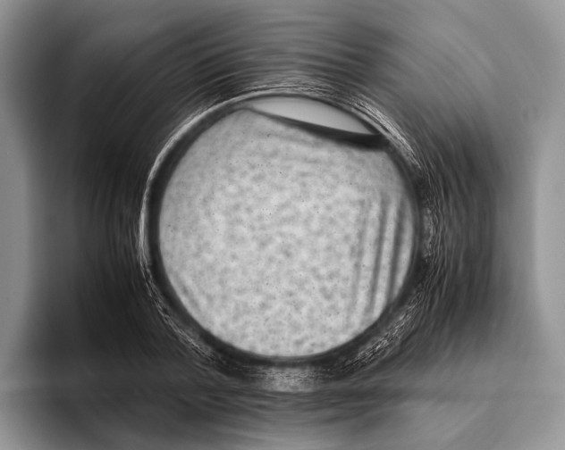 X0000095940788200802081236