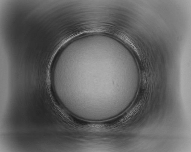 X0000095940789200802081236