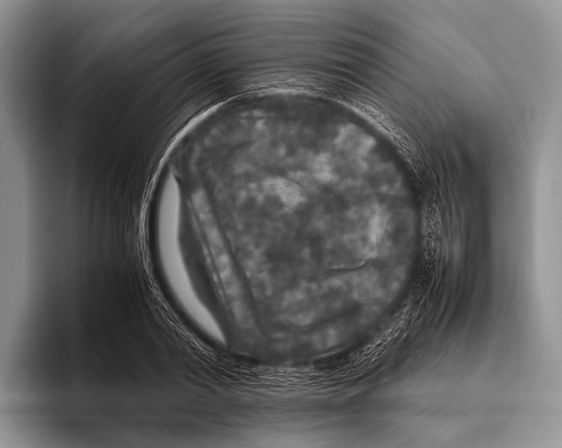 X0000095940790200802081236