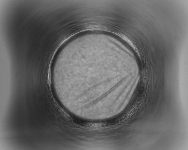 X0000095940791200802081236