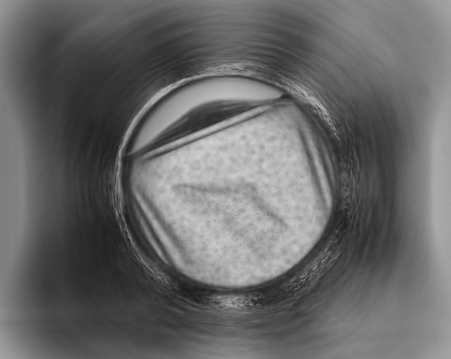 X0000095940792200802081236