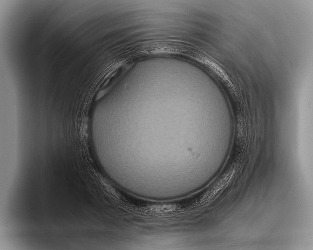 X0000095940793200802081236