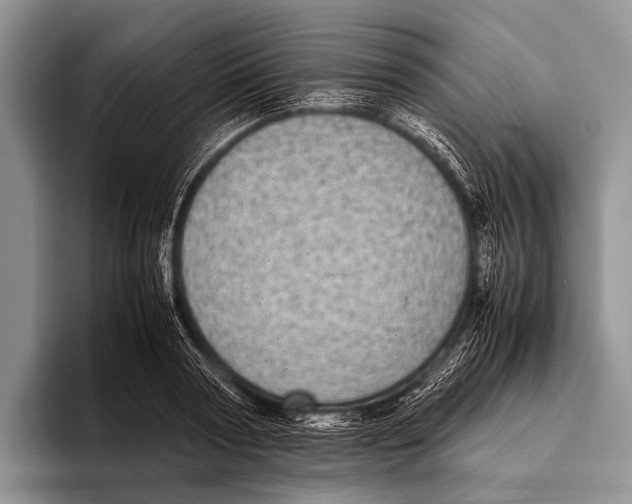 X0000095940794200802081236