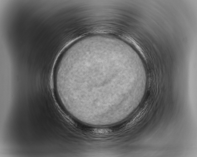 X0000095940795200802081236