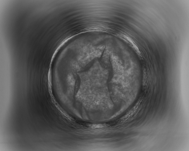 X0000095940796200802081236