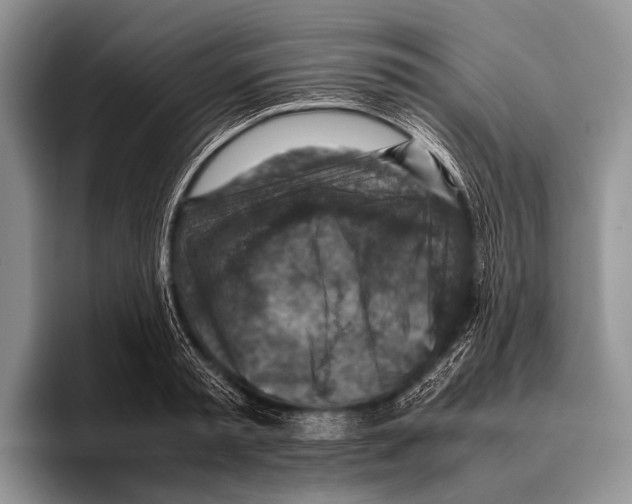 X0000095940797200802081236