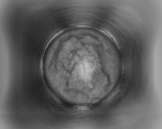 X0000095940798200802081236