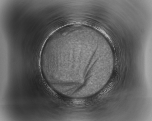 X0000095940799200802081236