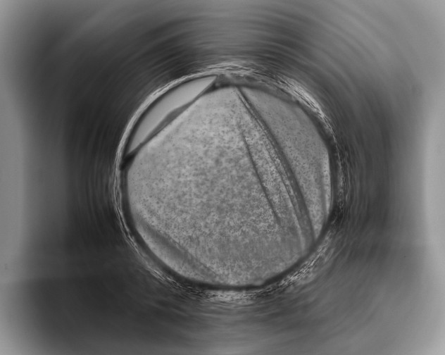 X0000095940800200802081236