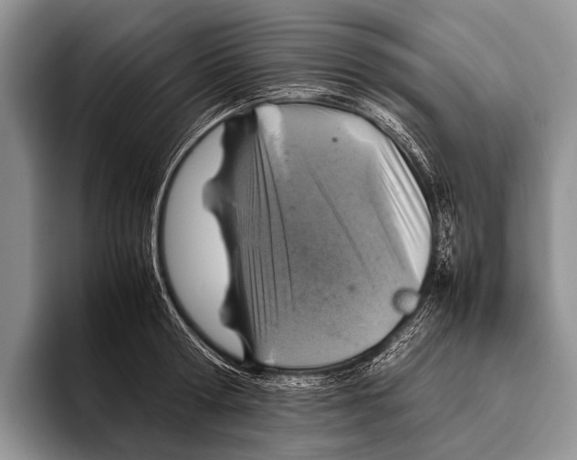 X0000095940802200802081236