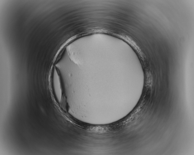 X0000095940806200802081236