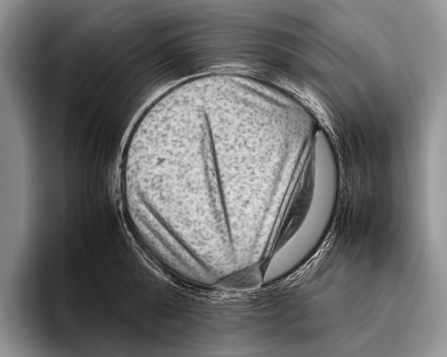 X0000095940808200802081236