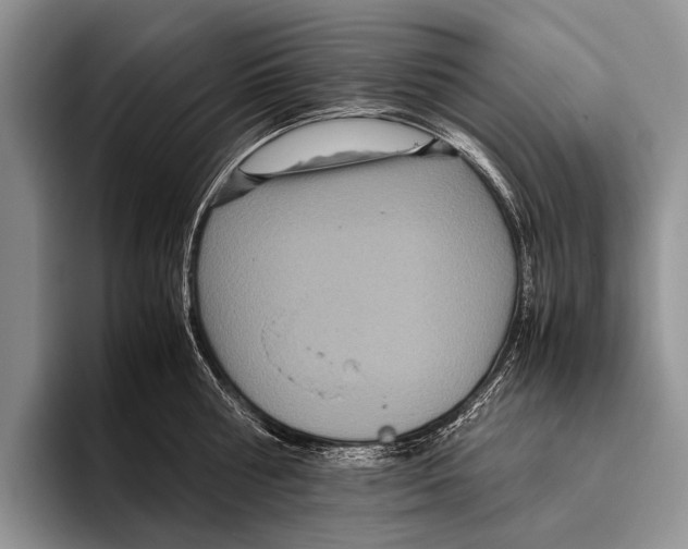 X0000095940810200802081236