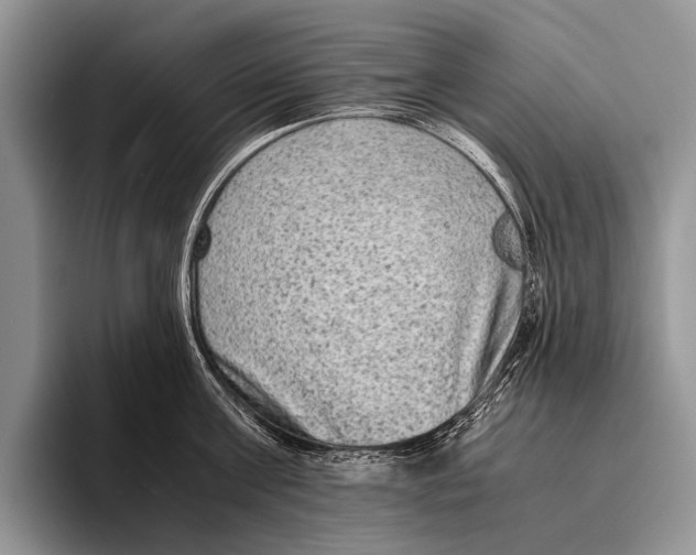 X0000095940811200802081236