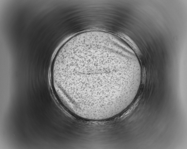 X0000095940812200802081236