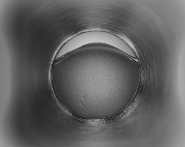 X0000095940813200802081236