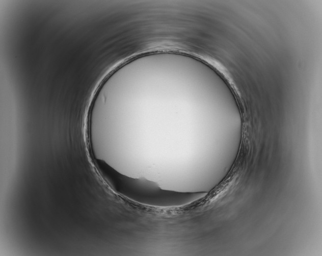 X0000095940815200802081236