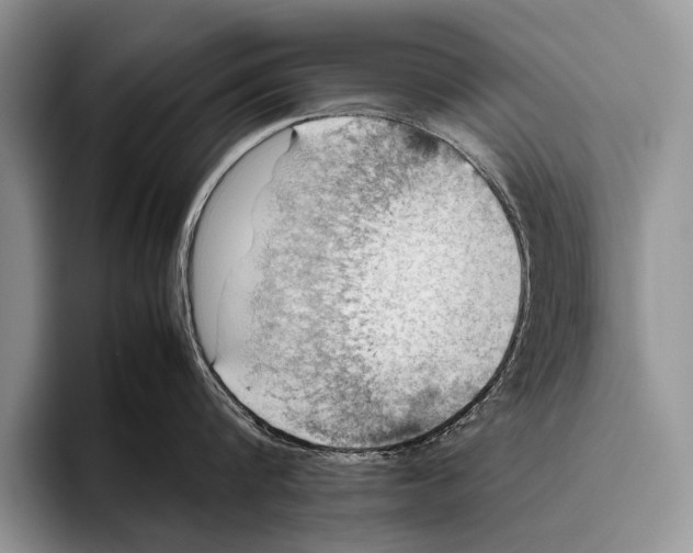 X0000095940816200802081236