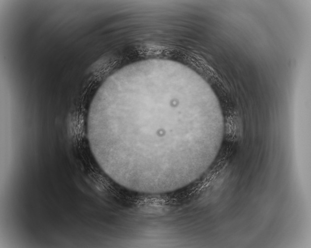 X0000095940820200802081235