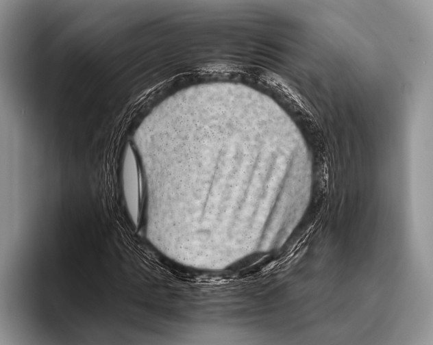 X0000095940821200802081235