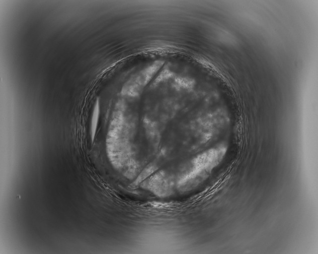 X0000095940822200802081235