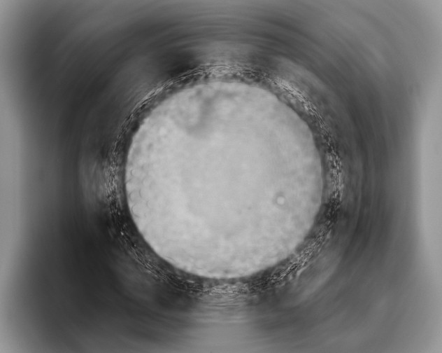 X0000095940824200802081235