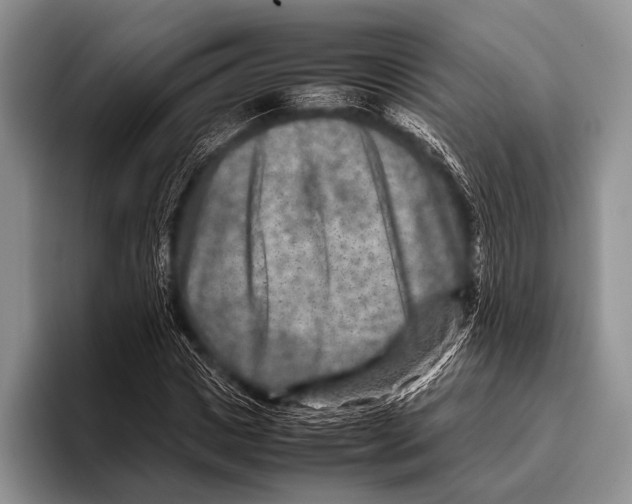 X0000095940825200802081235