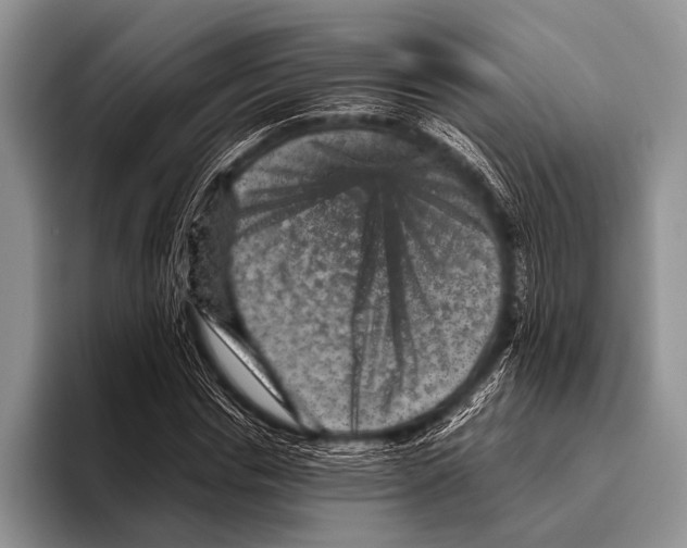 X0000095940826200802081235