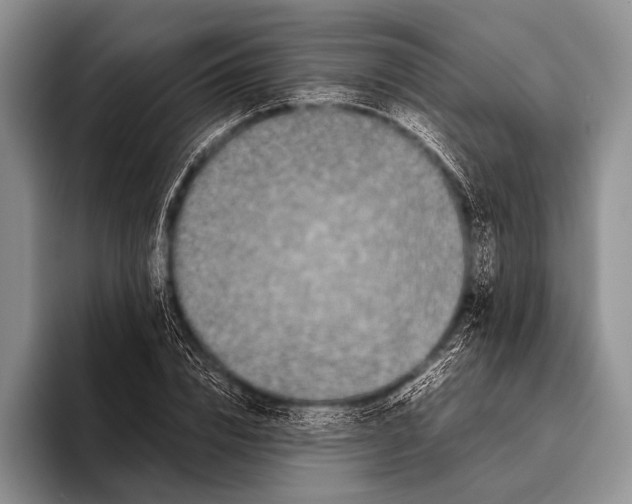 X0000095940832200802081235