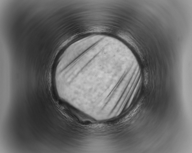 X0000095940834200802081235