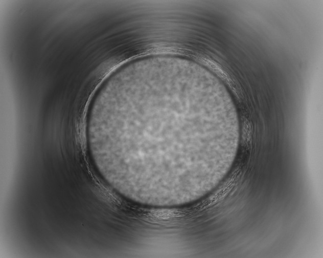 X0000095940836200802081235