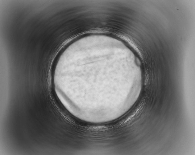 X0000095940837200802081235