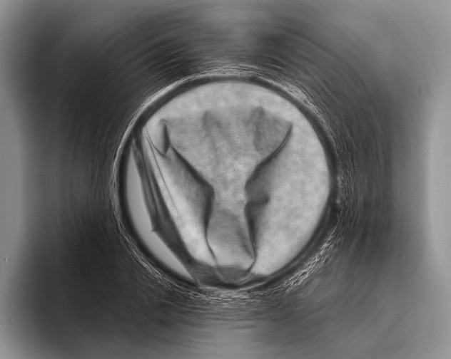 X0000095940838200802081235