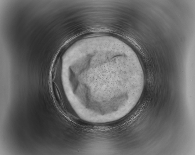 X0000095940840200802081235