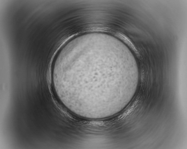 X0000095940844200802081235