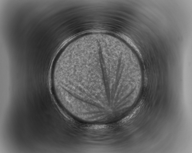 X0000095940845200802081236